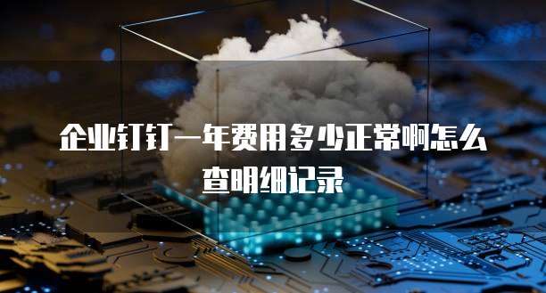 企业钉钉一年费用多少正常啊怎么查明细记录