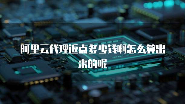 阿里云代理返点多少钱啊怎么算出来的呢