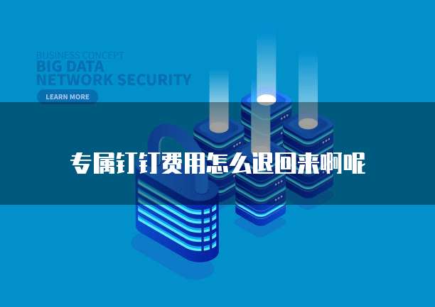 专属钉钉费用怎么退回来啊呢