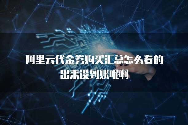 阿里云代金券购买汇总怎么看的出来没到账呢啊