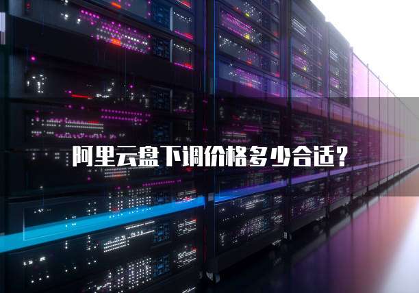 阿里云盘下调价格多少合适？