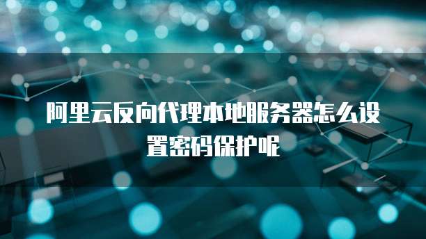 阿里云反向代理本地服务器怎么设置密码保护呢