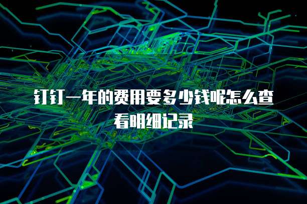 钉钉一年的费用要多少钱呢怎么查看明细记录