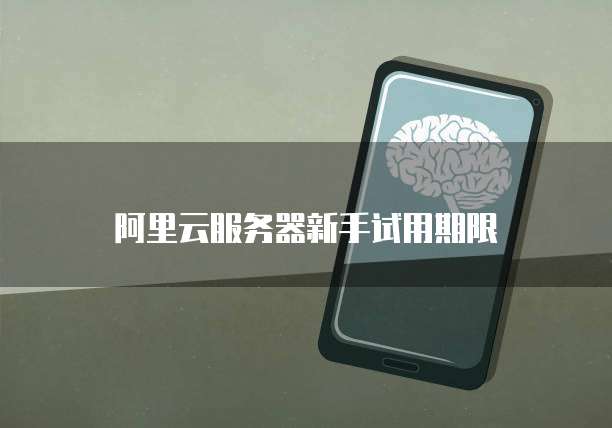购买阿里云域名后如何使用支付宝账户交易