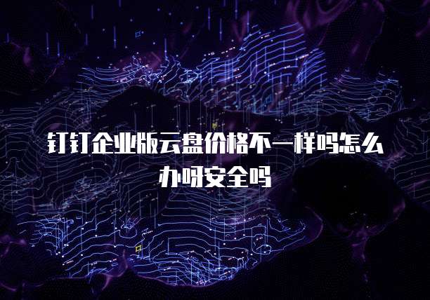 钉钉企业版云盘价格不一样吗怎么办呀安全吗