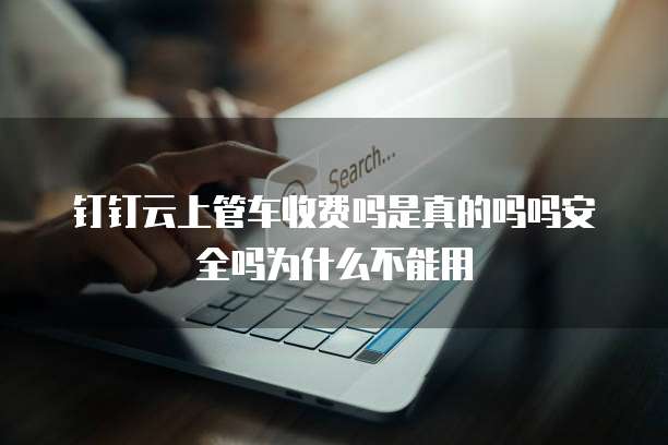 钉钉云上管车收费吗是真的吗吗安全吗为什么不能用