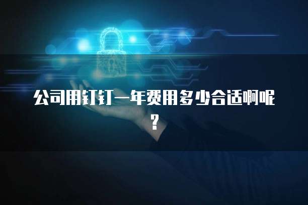 公司用钉钉一年费用多少合适啊呢?