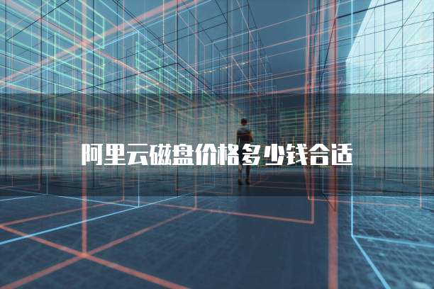 阿里云磁盘价格多少钱合适