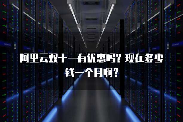 阿里云双十一有优惠吗?现在多少钱一个月啊?