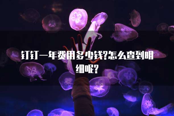钉钉一年费用多少钱?怎么查到明细呢?