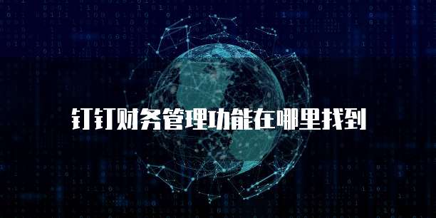 钉钉费用报销明细无法输入的问及解决方案