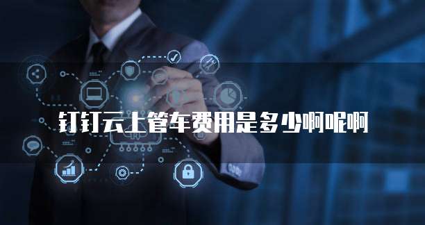 钉钉云上管车费用是多少啊呢啊