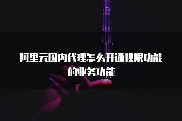 阿里云国内代理怎么开通权限功能的业务功能