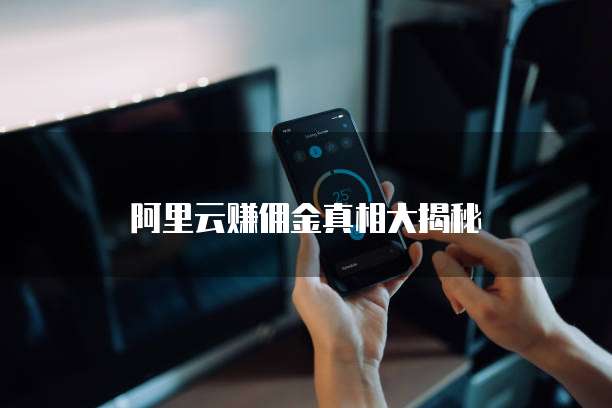 阿里云赚佣金真相大揭秘
