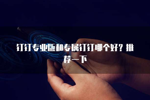钉钉专业版和专属钉钉哪个好?推荐一下