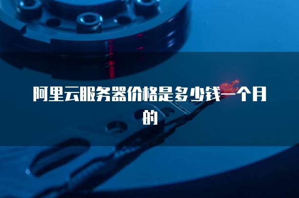 阿里云服务器价格是多少钱一个月的