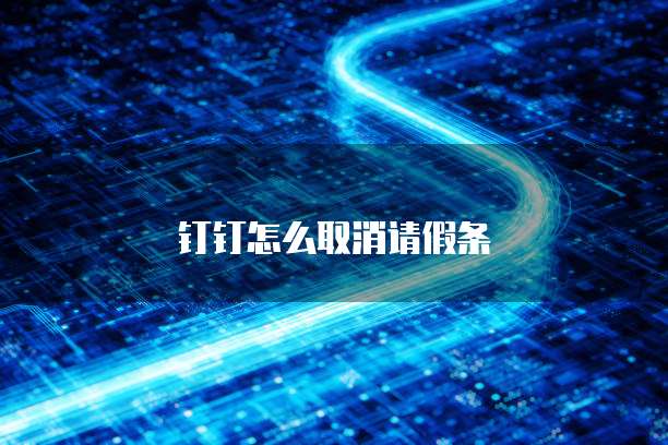 阿里云服务器是否提供IP地址?安全吗?