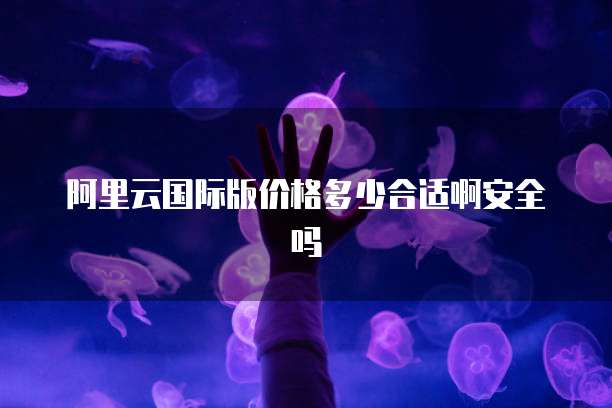 阿里云国际版价格多少合适啊安全吗