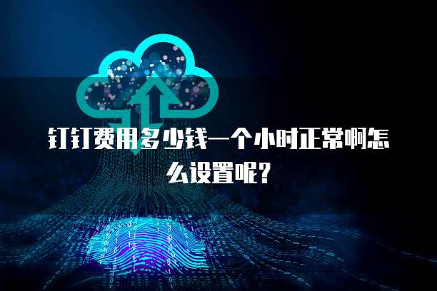钉钉费用多少钱一个小时正常啊怎么设置呢?