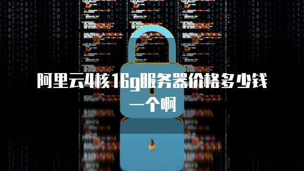 阿里云4核16g服务器价格多少钱一个啊