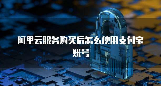 阿里云服务购买后怎么使用支付宝账号