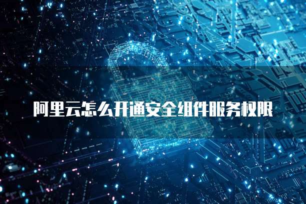 阿里云怎么开通安全组件服务权限