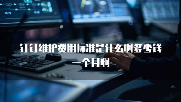 钉钉维护费用标准是什么啊多少钱一个月啊