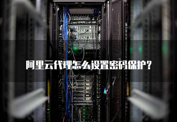 阿里云代理怎么设置密码保护?