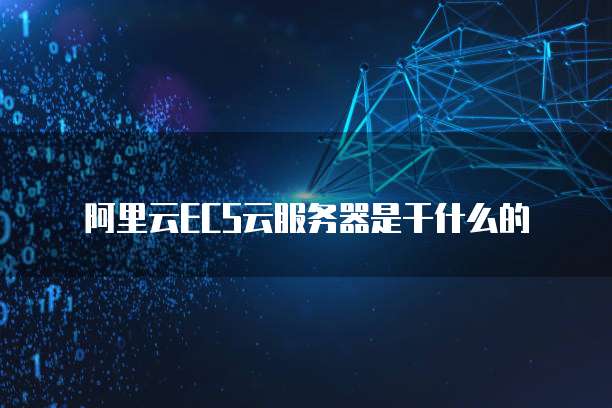 阿里云ECS云服务器是干什么的