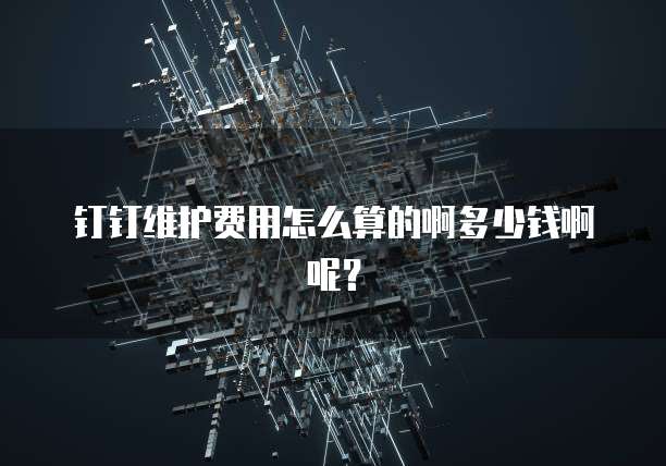 钉钉维护费用怎么算的啊多少钱啊呢？