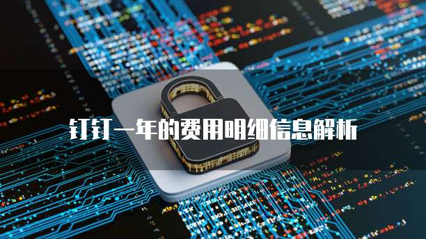钉钉一年的费用明细信息解析