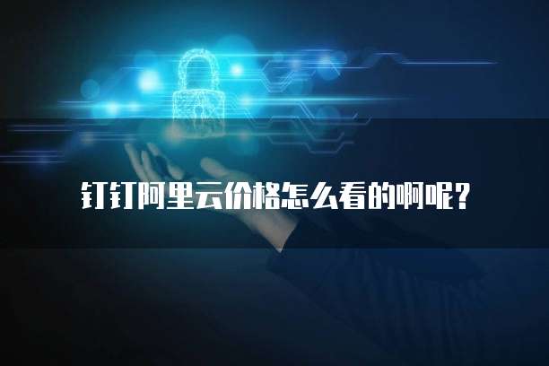 钉钉阿里云价格怎么看的啊呢?