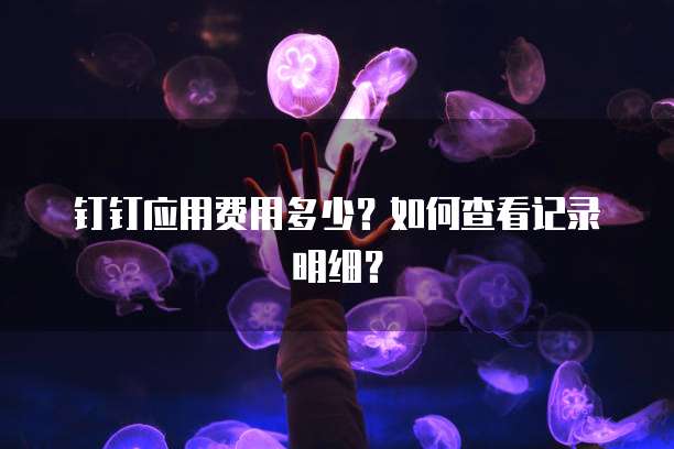 钉钉应用费用多少？如何查看记录明细？