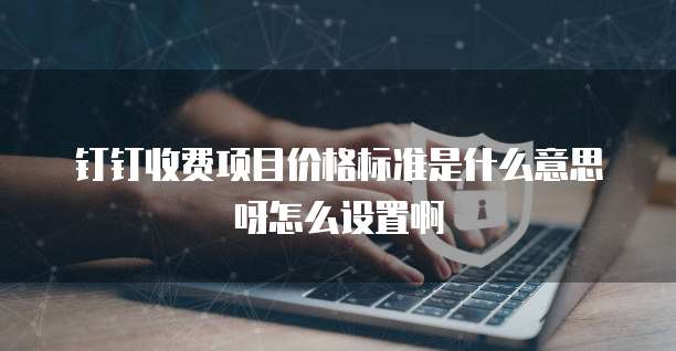 钉钉收费项目价格标准是什么意思呀怎么设置啊