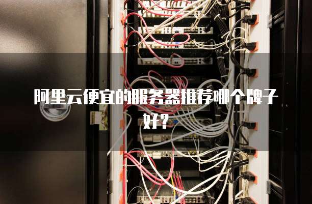 阿里云便宜的服务器推荐哪个牌子好?