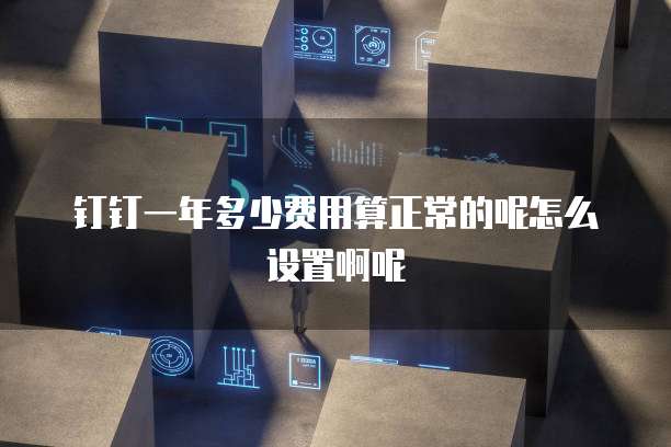 钉钉一年多少费用算正常的呢怎么设置啊呢
