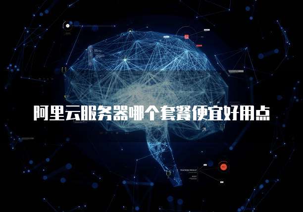 阿里云服务器哪个套餐便宜好用点