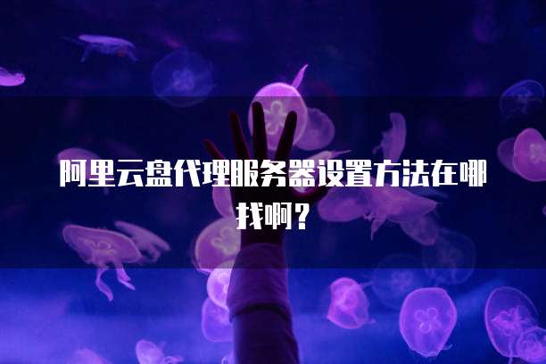 阿里云盘代理服务器设置方法在哪找啊?