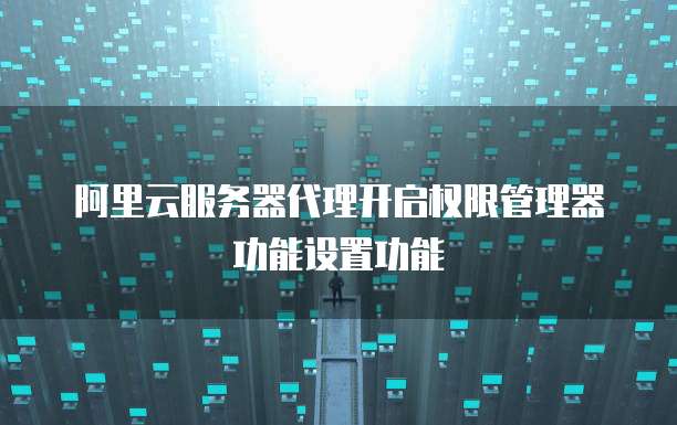阿里云服务器代理开启权限管理器功能设置功能
