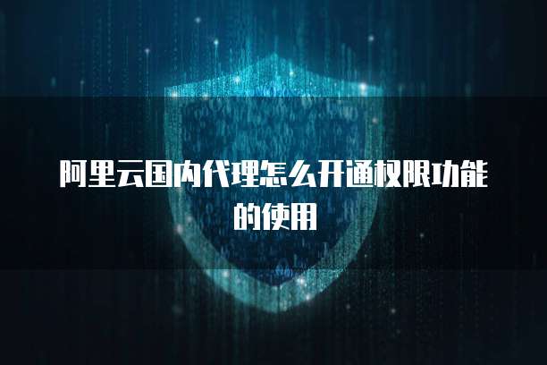 阿里云国内代理怎么开通权限功能的使用