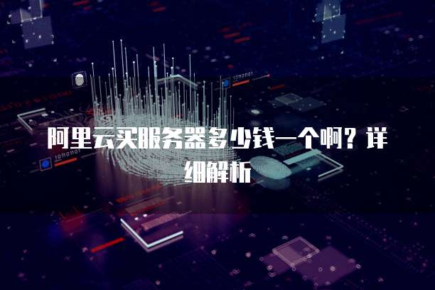 阿里云买服务器多少钱一个啊?详细解析
