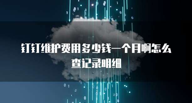 钉钉维护费用多少钱一个月啊怎么查记录明细