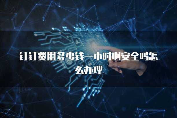 钉钉费用多少钱一小时啊安全吗怎么办理