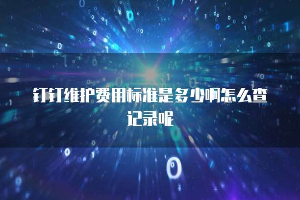 钉钉维护费用标准是多少啊怎么查记录呢