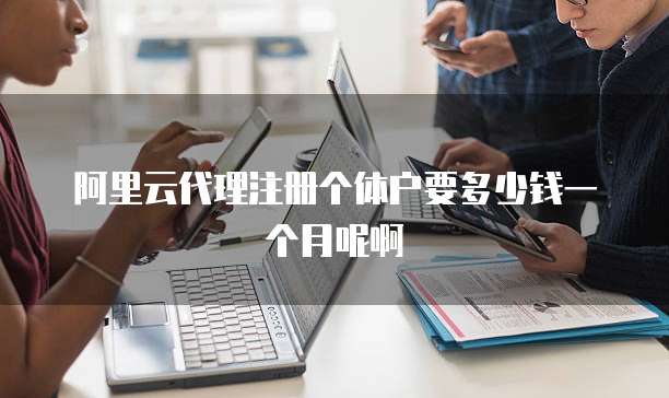 阿里云代理注册个体户要多少钱一个月呢啊