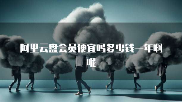 阿里云盘会员便宜吗多少钱一年啊呢