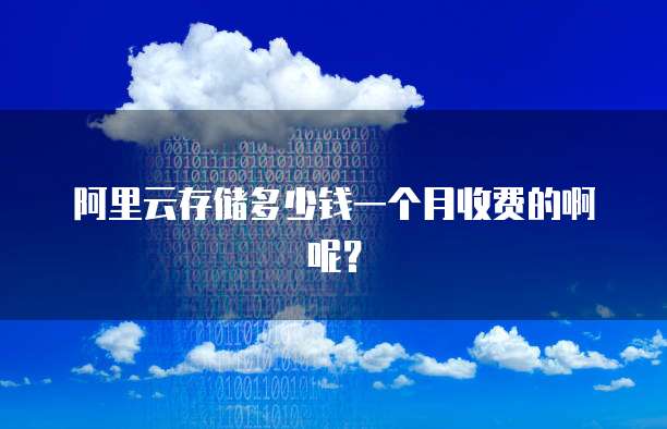 阿里云存储多少钱一个月收费的啊呢?