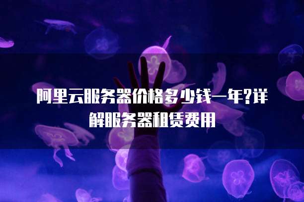 阿里云服务器价格多少钱一年?详解服务器租赁费用