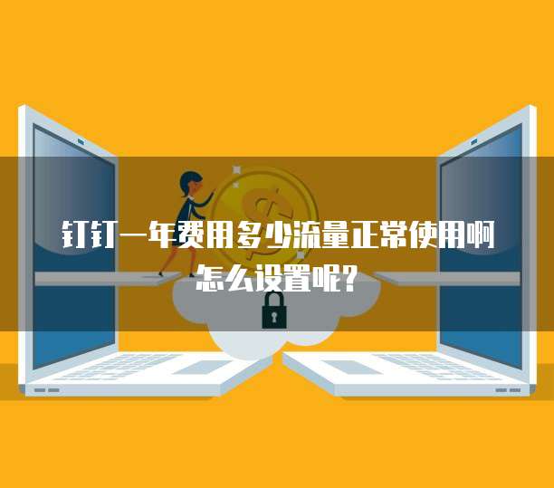 钉钉一年费用多少流量正常使用啊怎么设置呢?