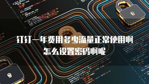 钉钉一年费用多少流量正常使用啊怎么设置密码啊呢